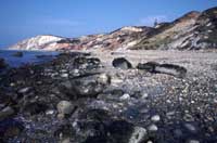 Gay Head, Martha's Vineyard