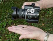 Hand and Camera